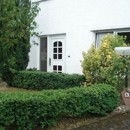 Ferienwohnung Martina 첼 안 데어 모젤 외부 사진