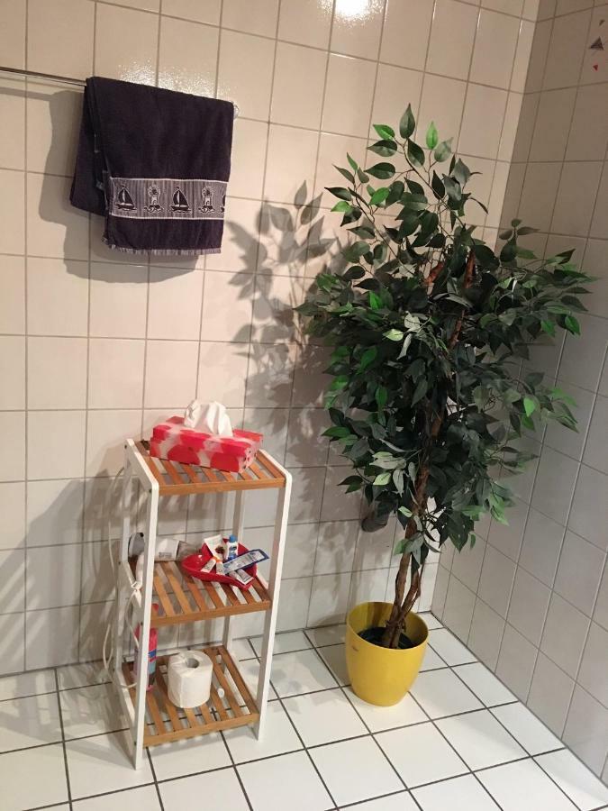 Ferienwohnung Martina 첼 안 데어 모젤 외부 사진
